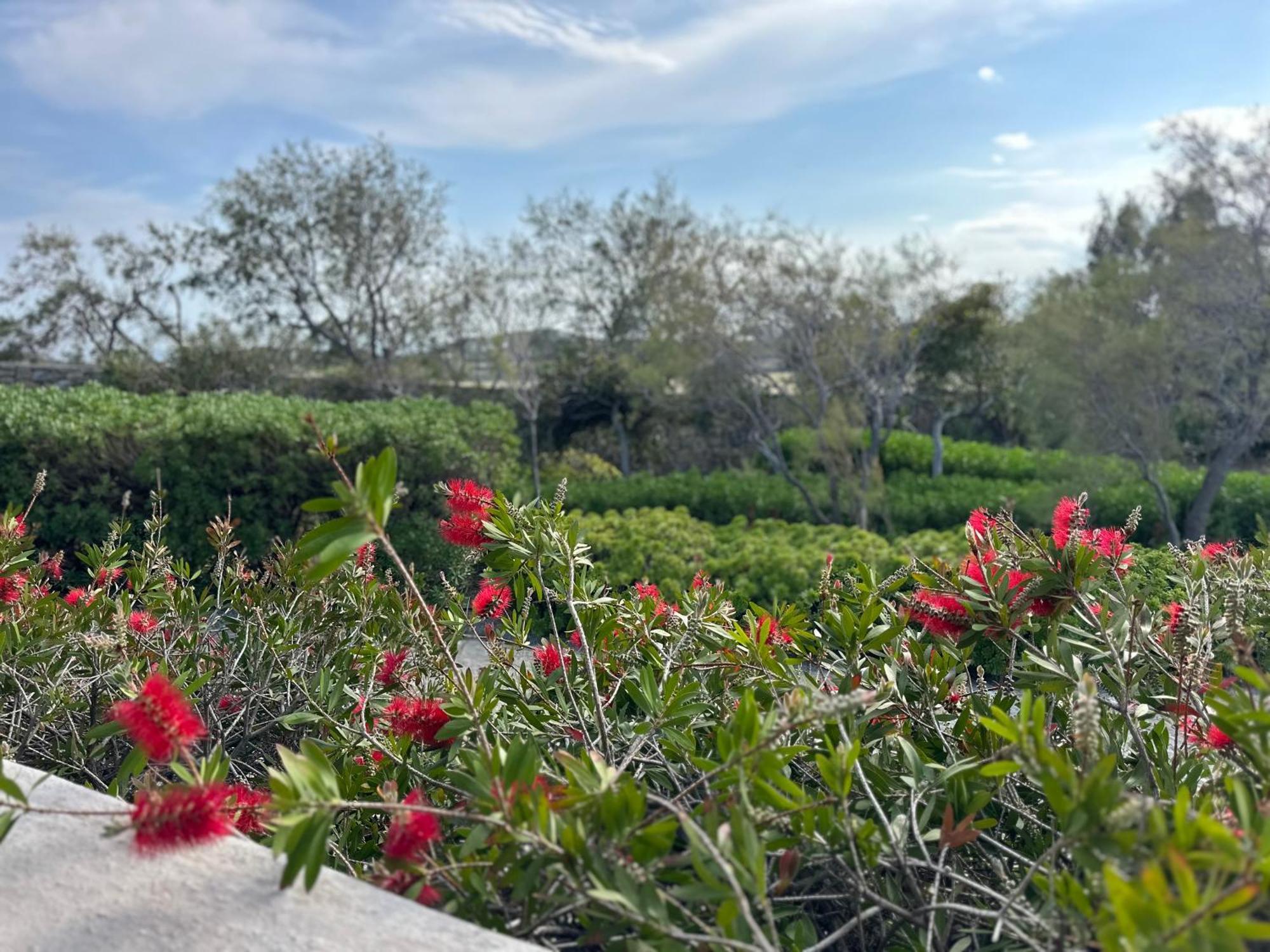 Divers House Agrari  Dış mekan fotoğraf