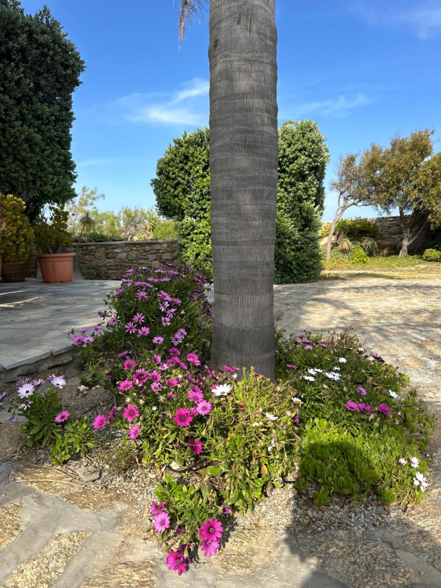 Divers House Agrari  Dış mekan fotoğraf