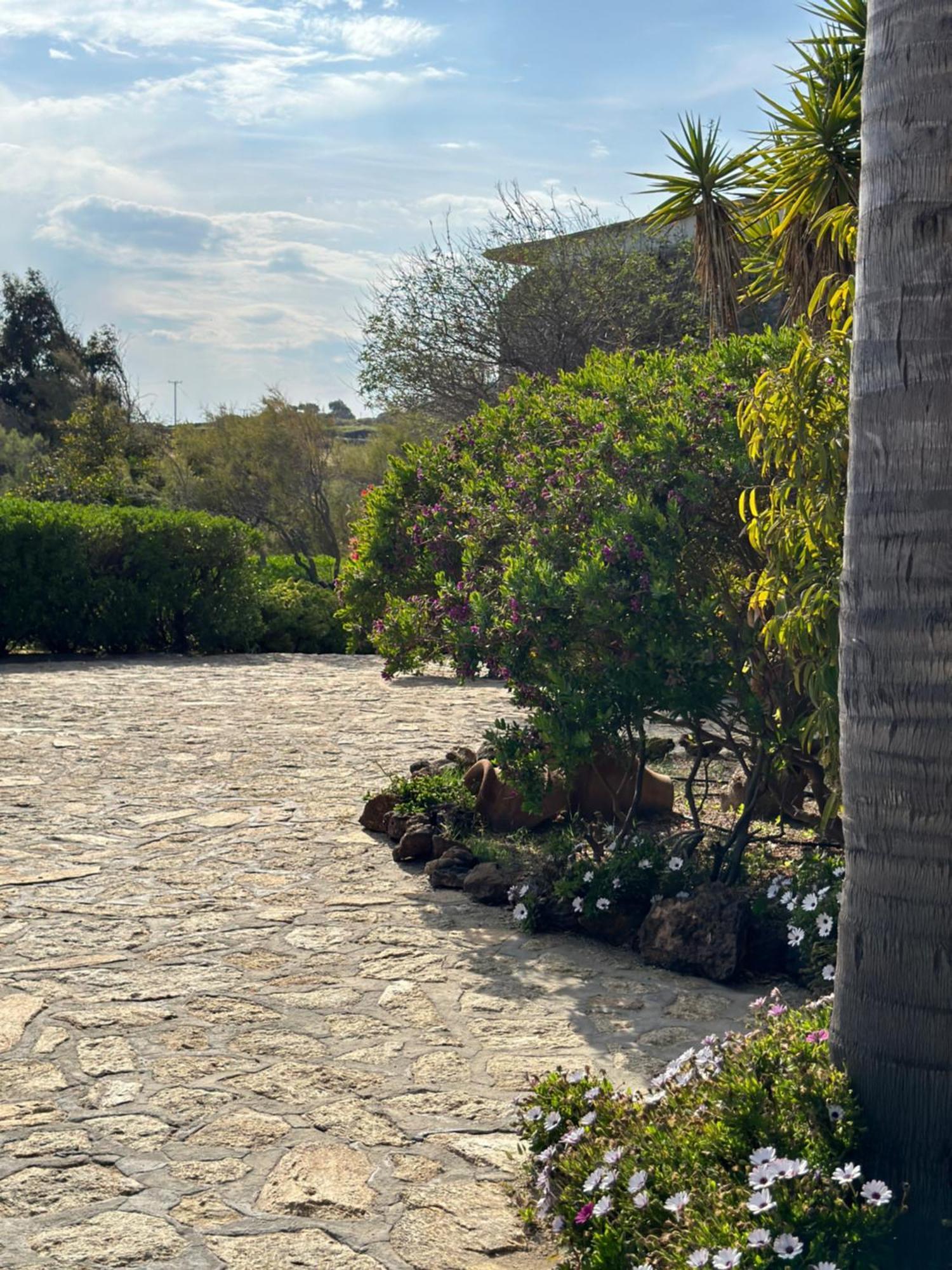 Divers House Agrari  Dış mekan fotoğraf