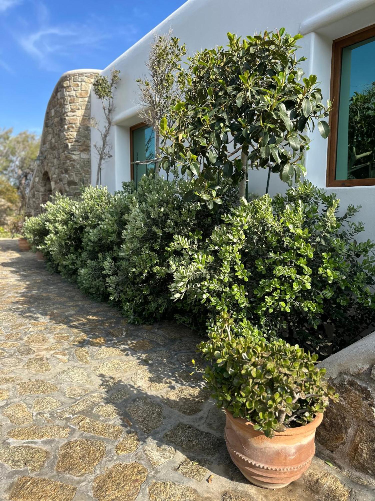 Divers House Agrari  Dış mekan fotoğraf