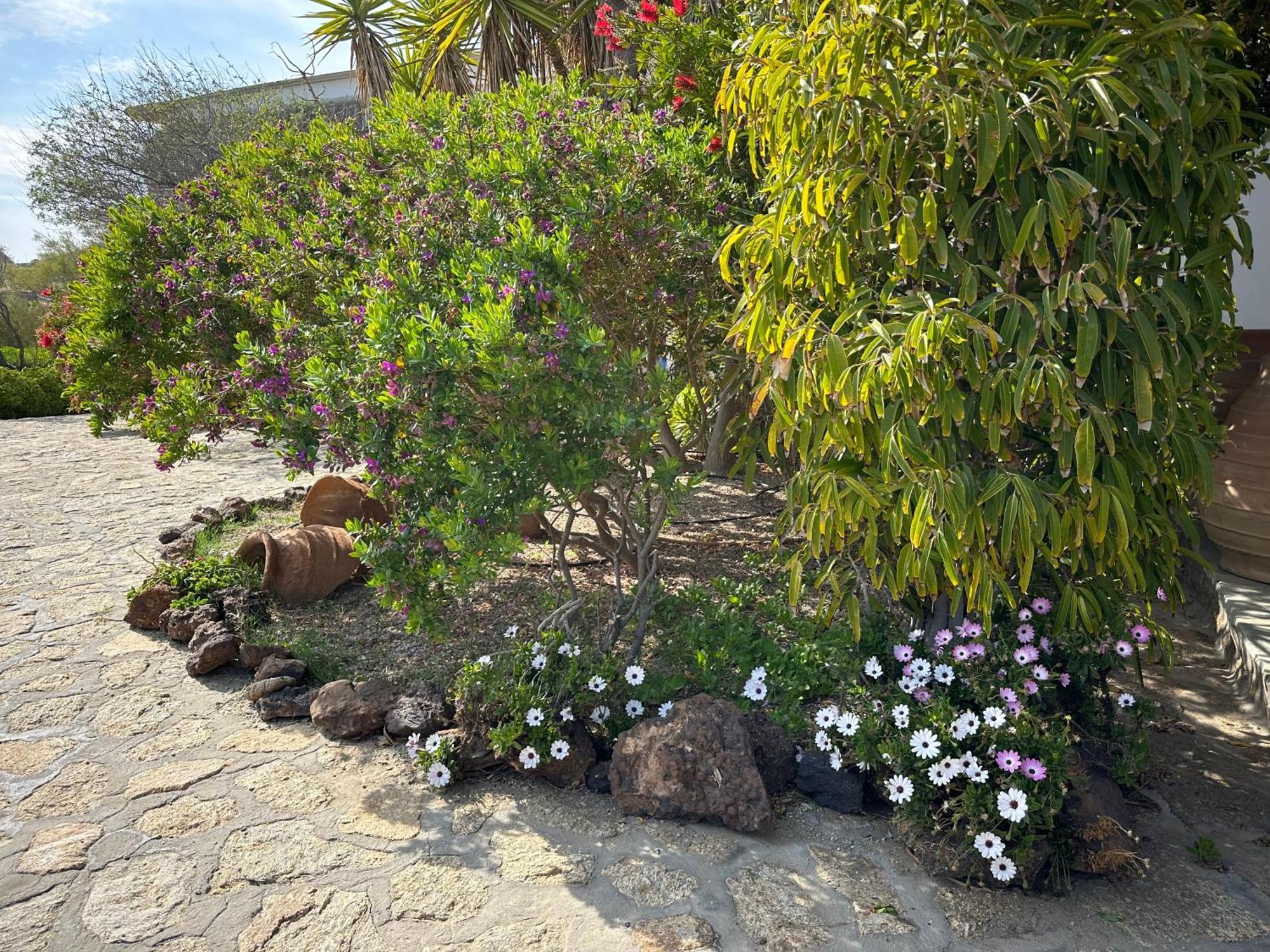 Divers House Agrari  Dış mekan fotoğraf