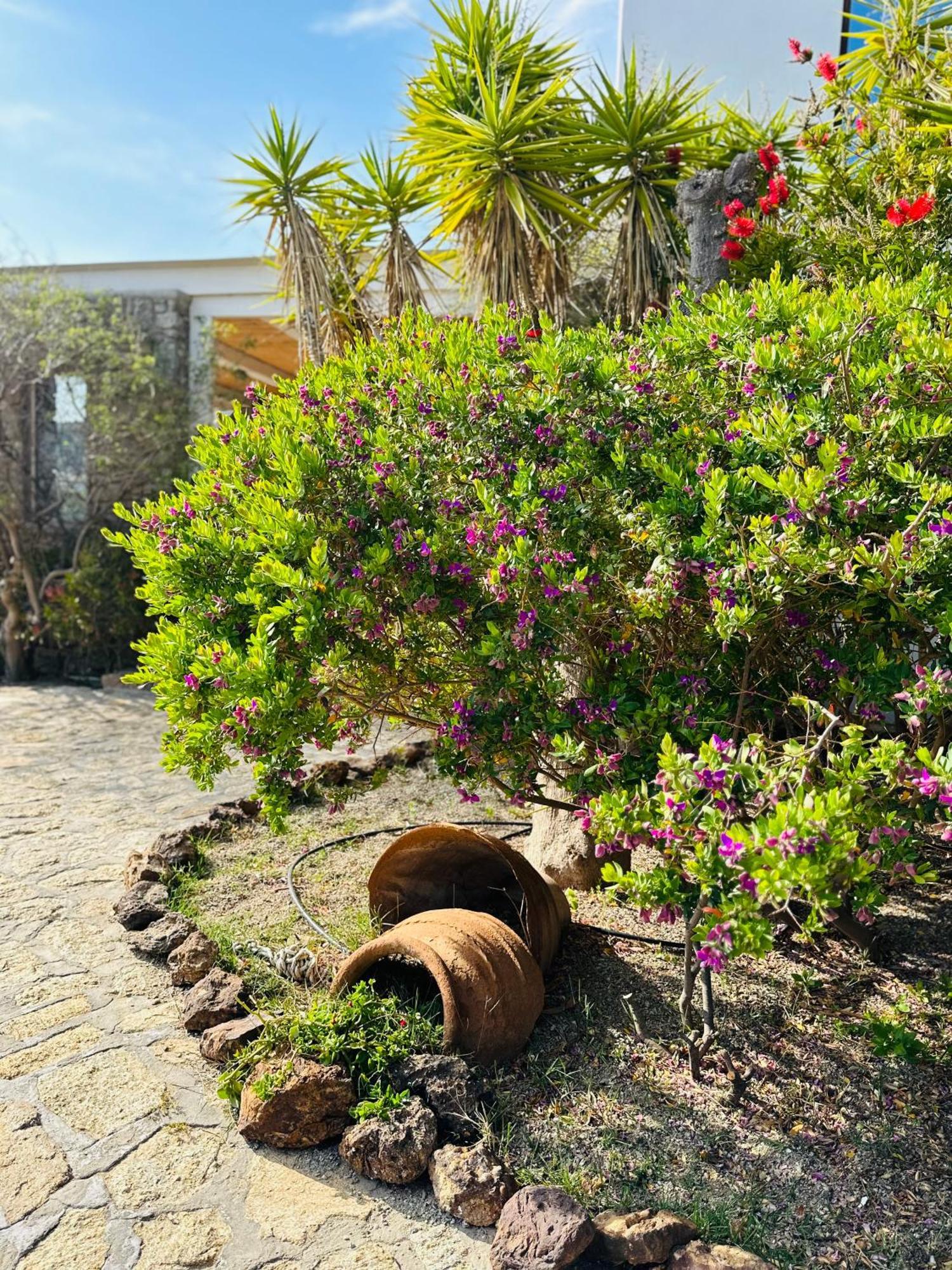 Divers House Agrari  Dış mekan fotoğraf